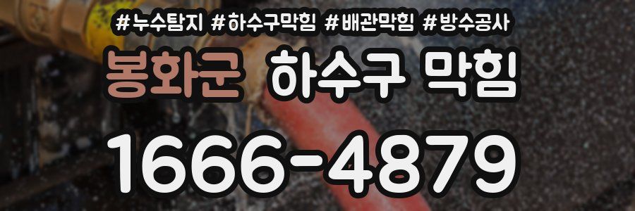 봉화군 하수구 막힘