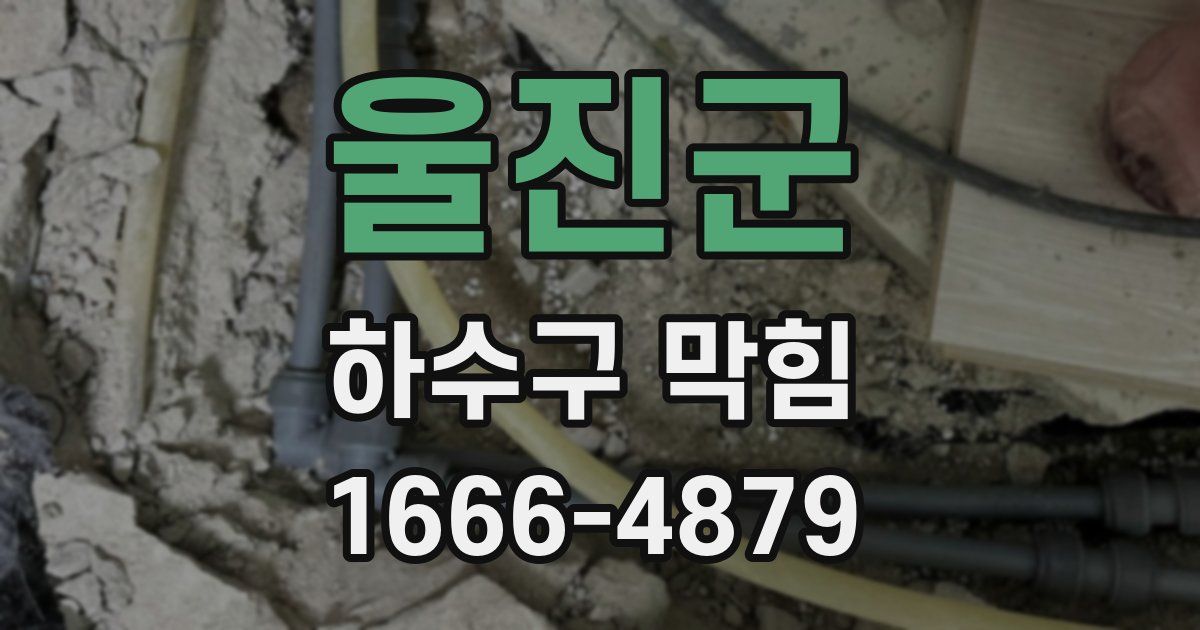 울진군 하수구 막힘