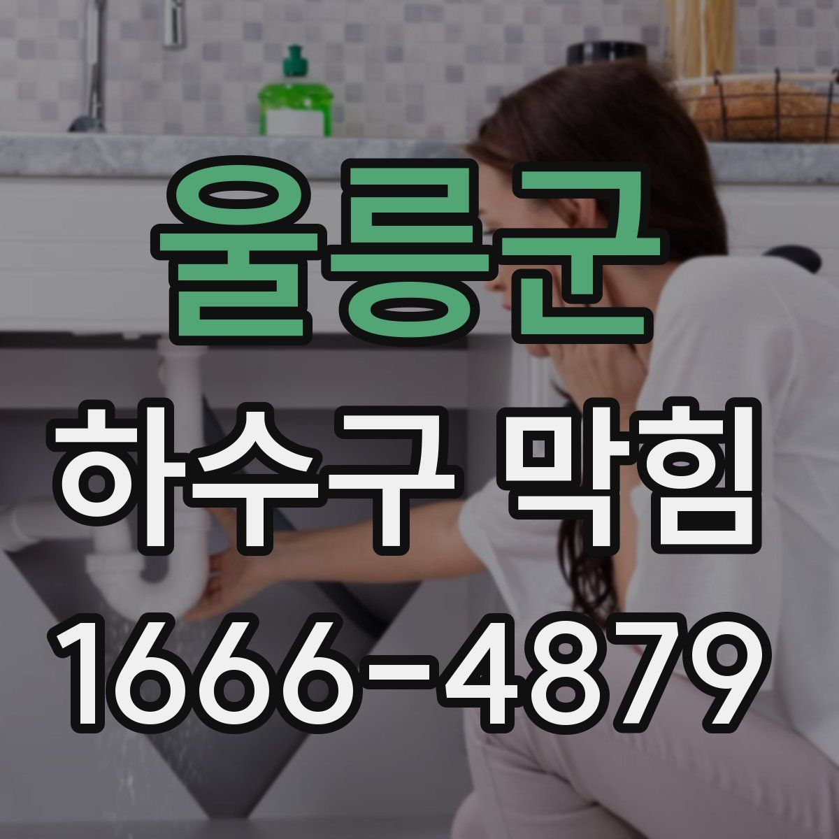 울릉군 하수구 막힘