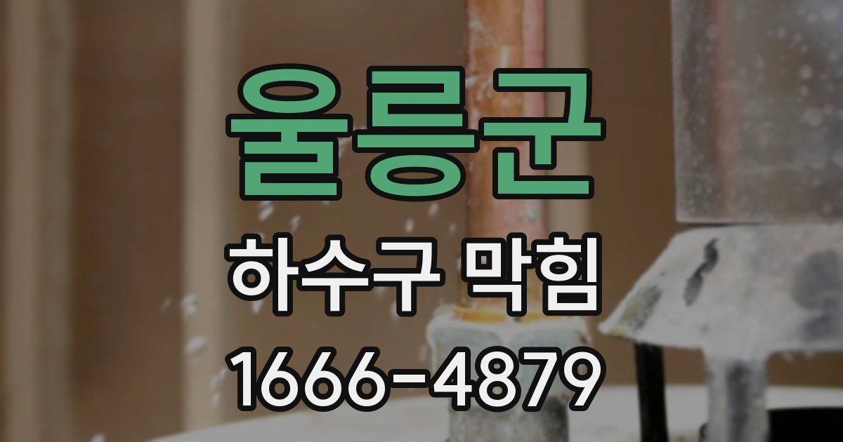 울릉군 하수구 막힘