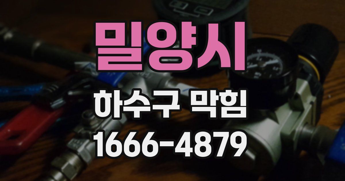 밀양시 하수구 막힘