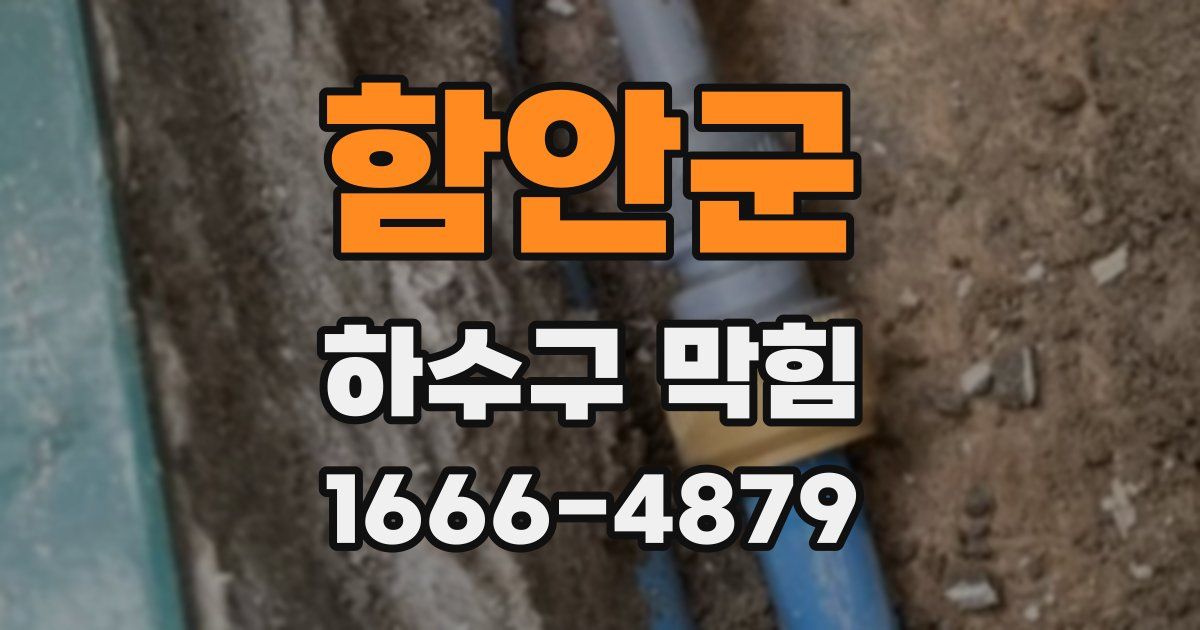 함안군 하수구 막힘