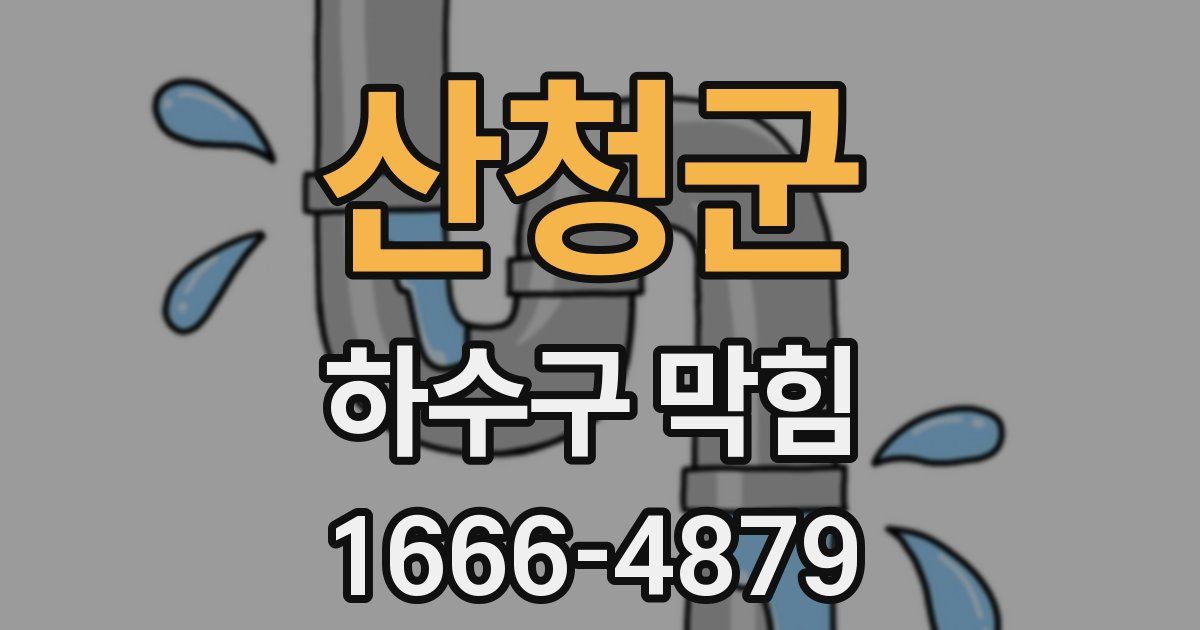 산청군 하수구 막힘
