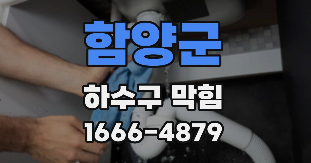 함양군 하수구 막힘