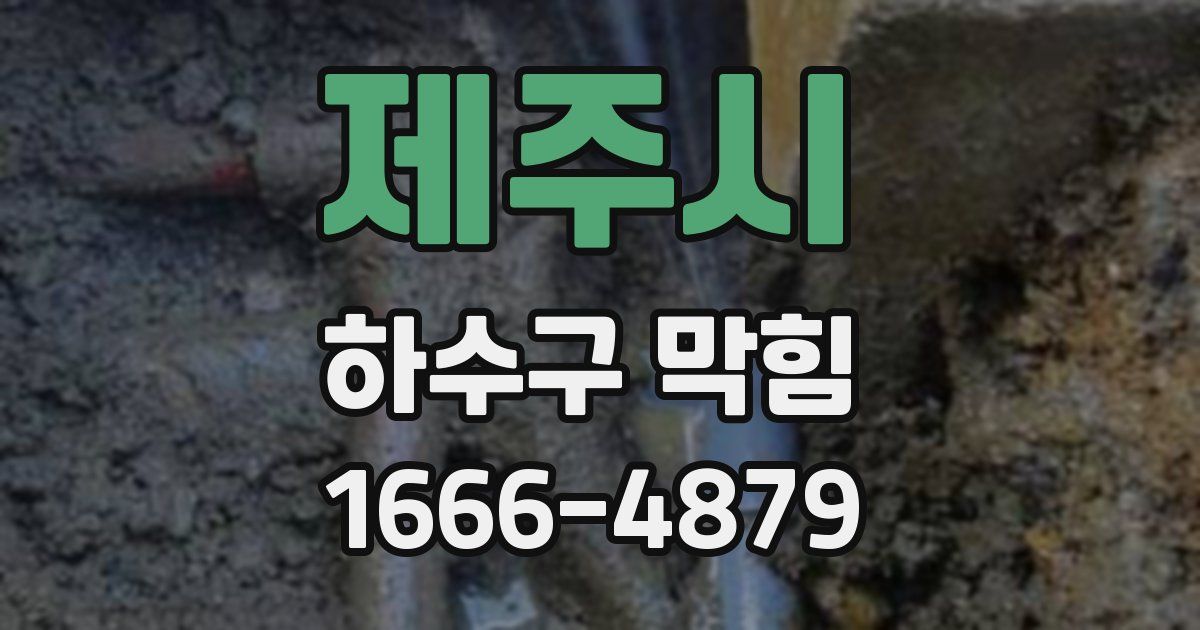 제주시 하수구 막힘