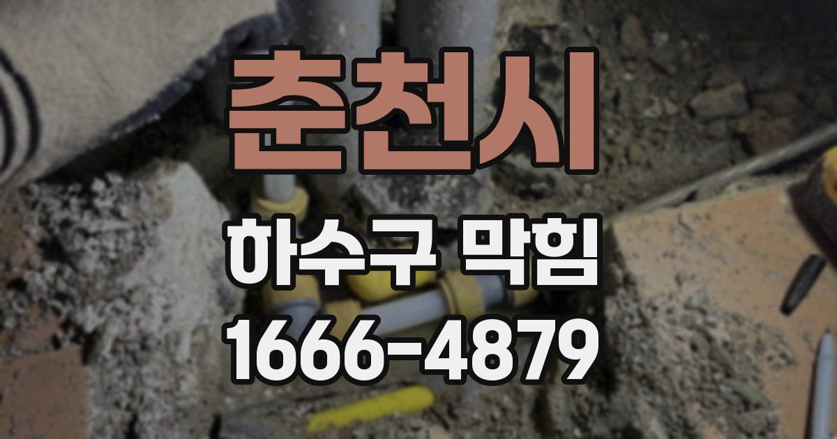 춘천시 하수구 막힘