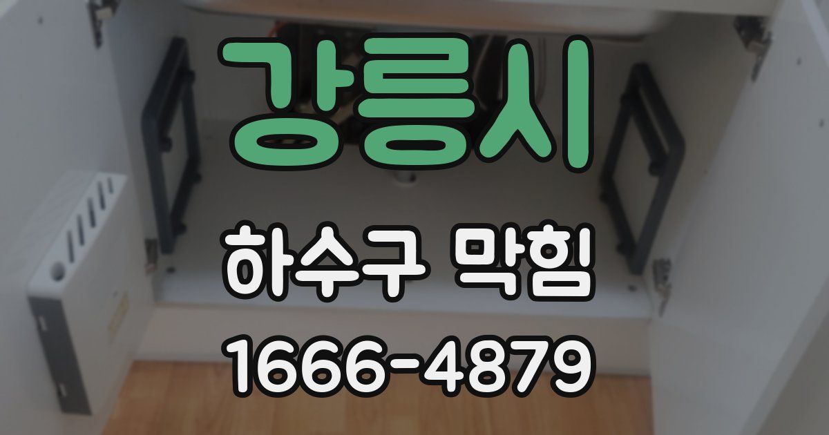 강릉시 하수구 막힘