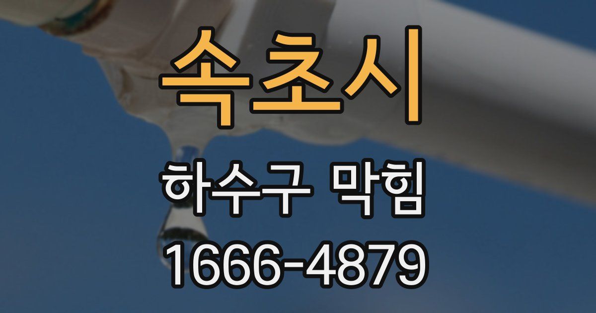 속초시 하수구 막힘