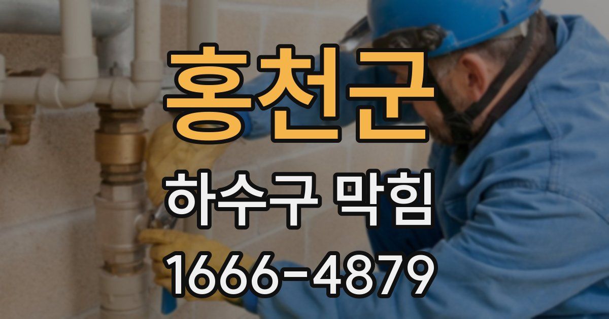 홍천군 하수구 막힘