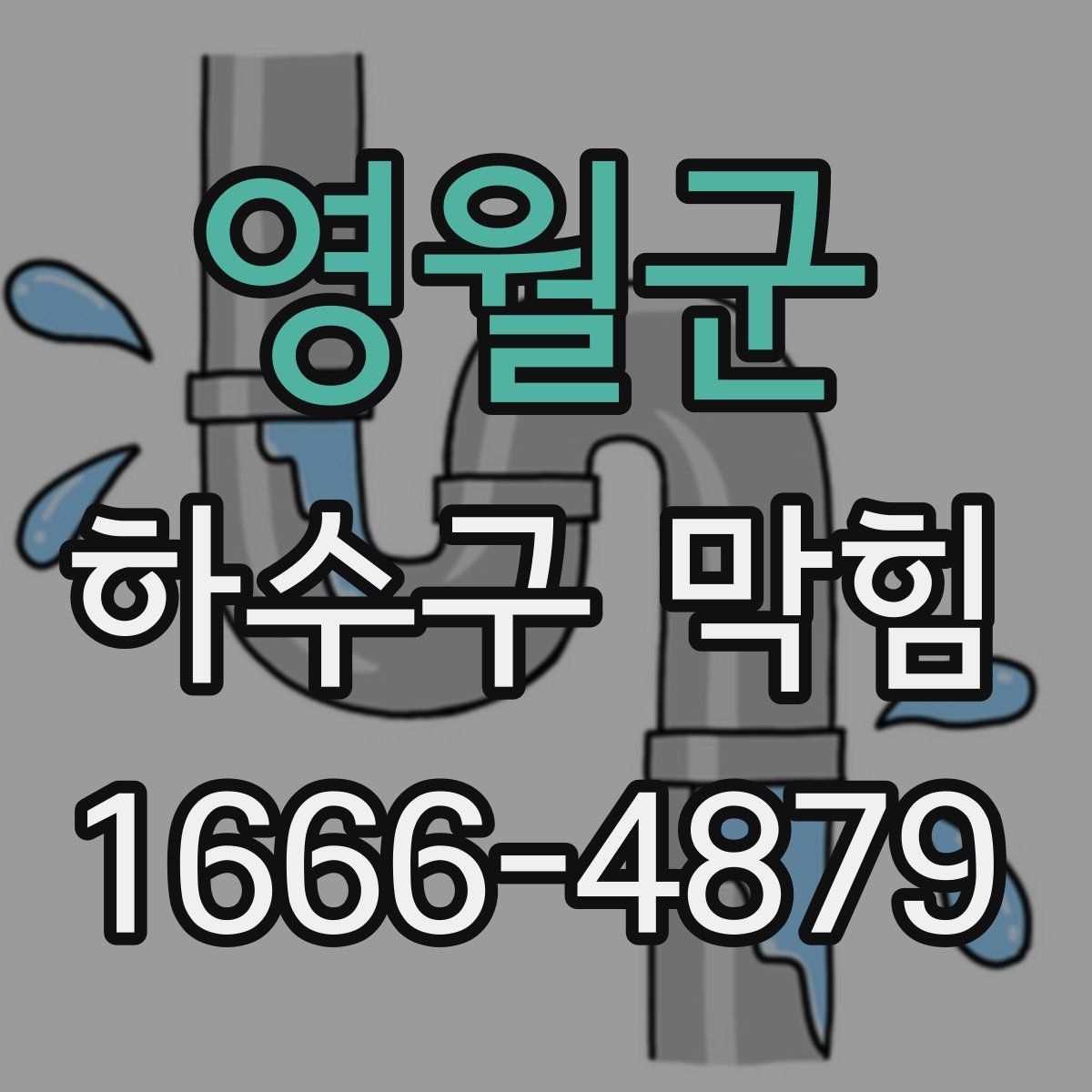 영월군 하수구 막힘