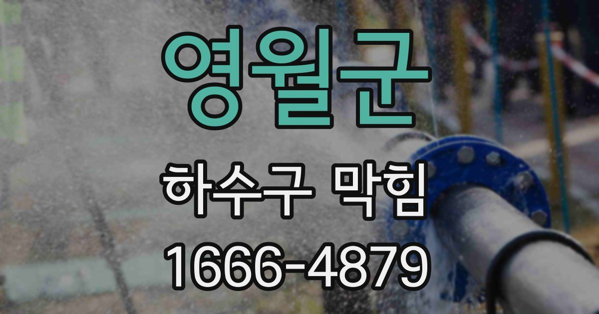 영월군 하수구 막힘