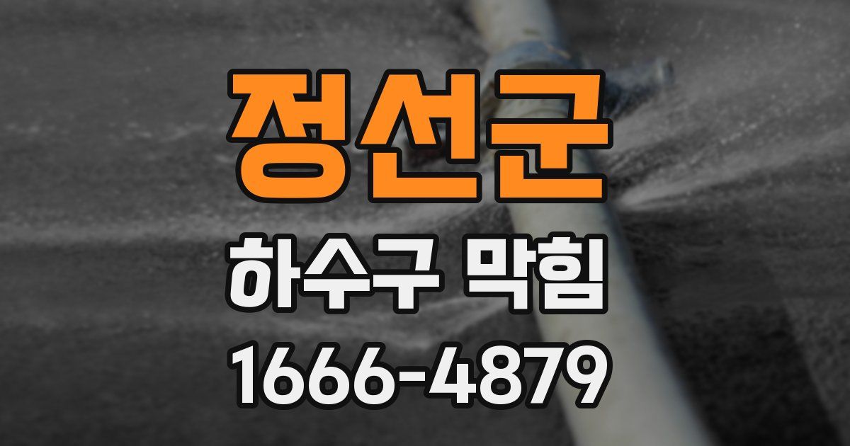 정선군 하수구 막힘
