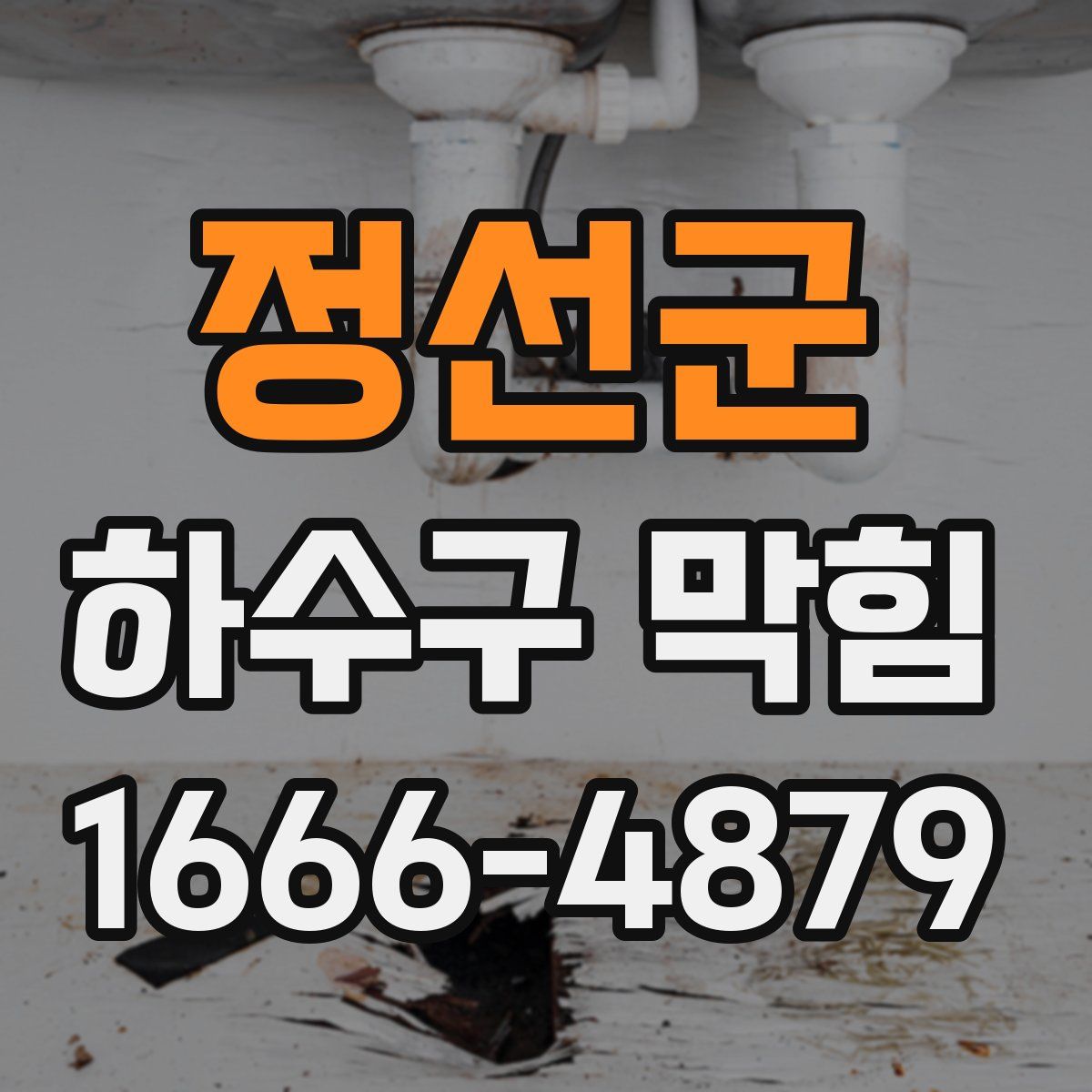 정선군 하수구 막힘
