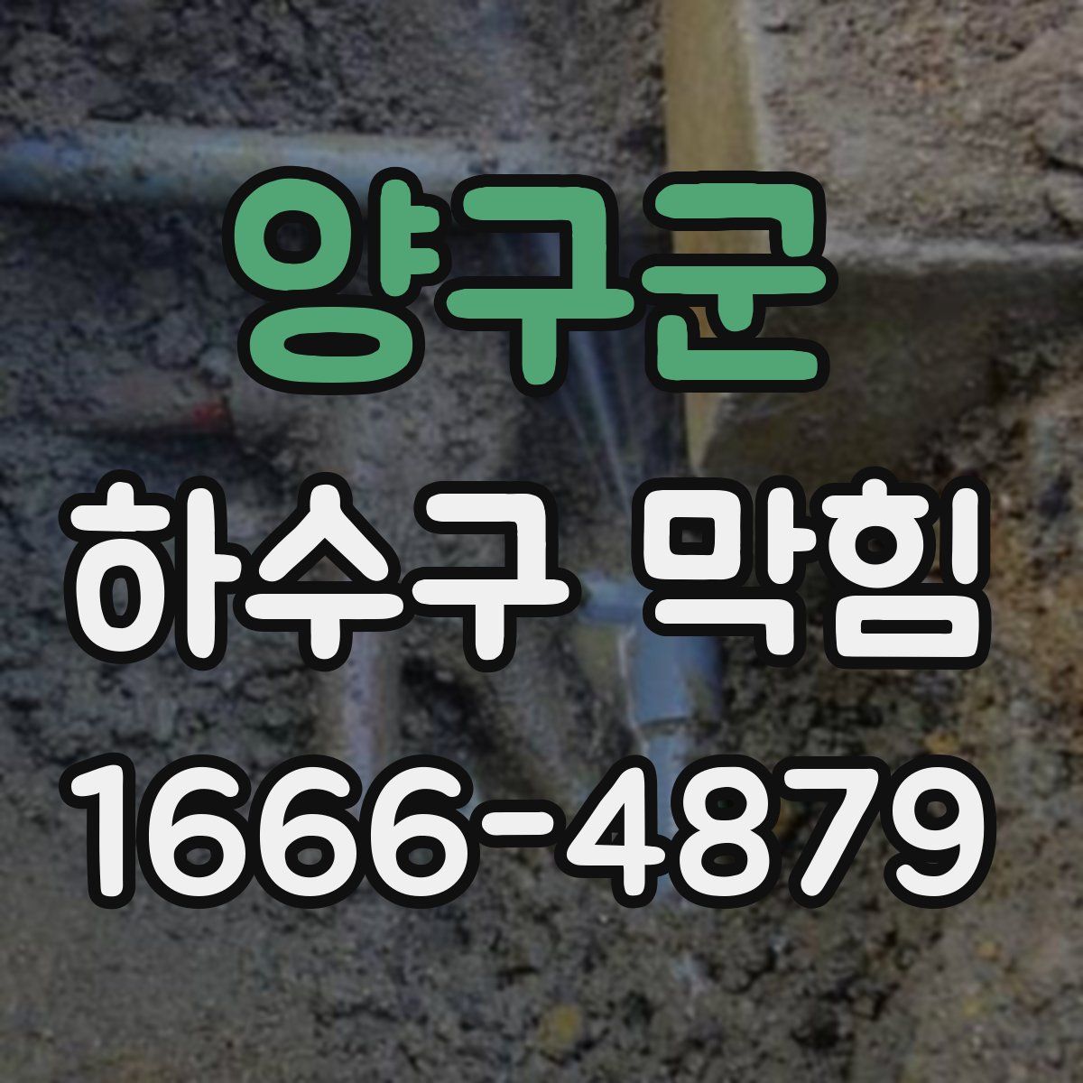 양구군 하수구 막힘