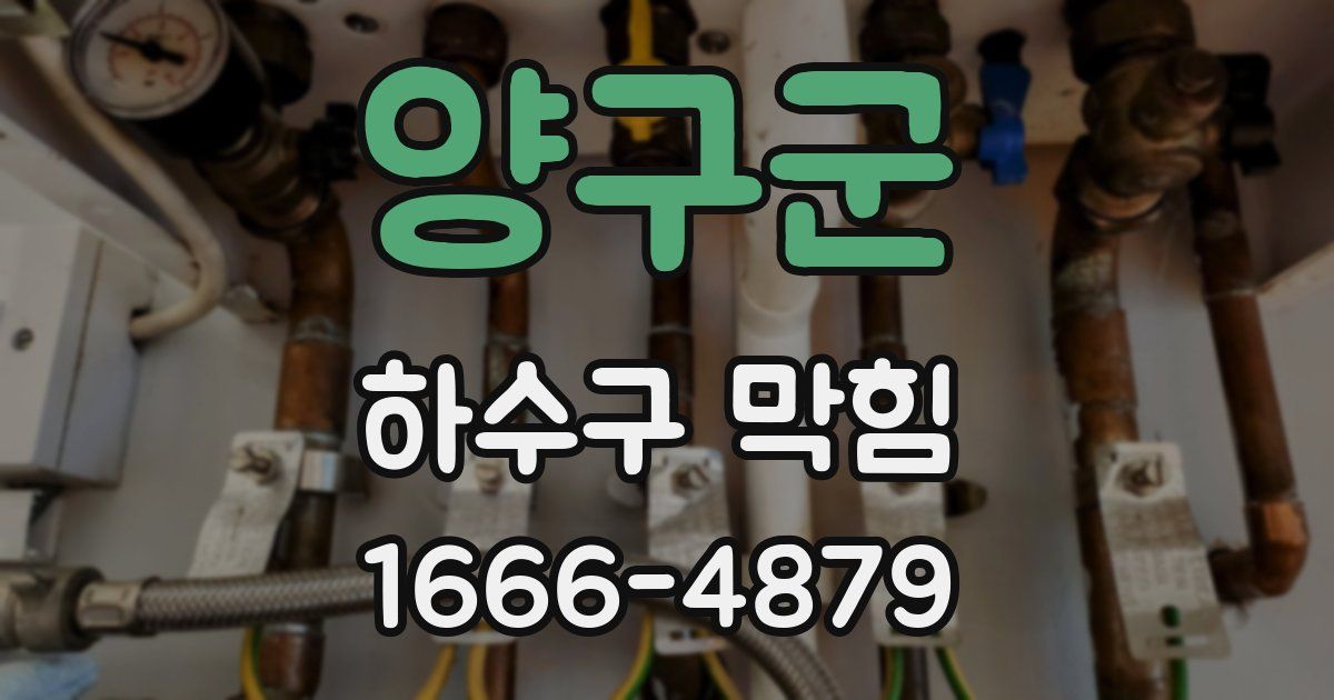 양구군 하수구 막힘