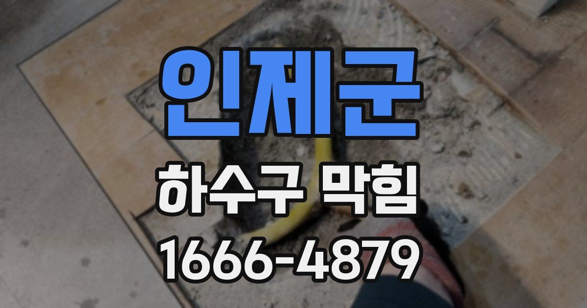 인제군 하수구 막힘