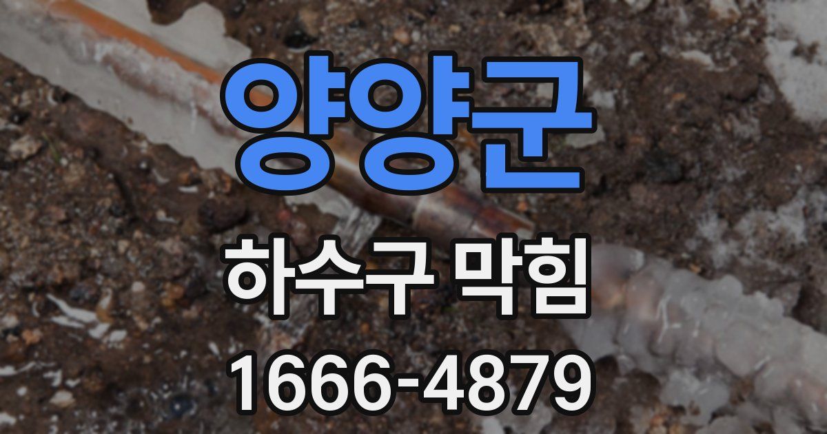 양양군 하수구 막힘