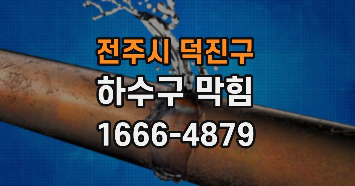 전주시 덕진구 하수구 막힘