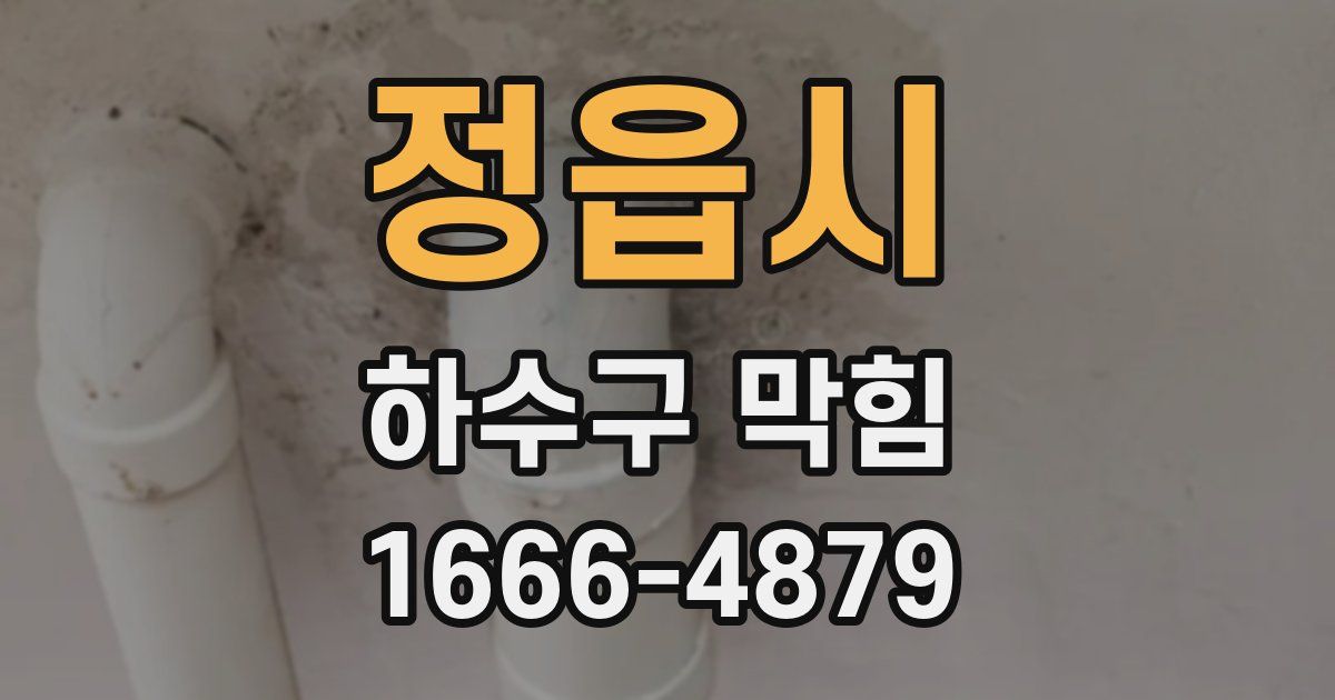 정읍시 하수구 막힘