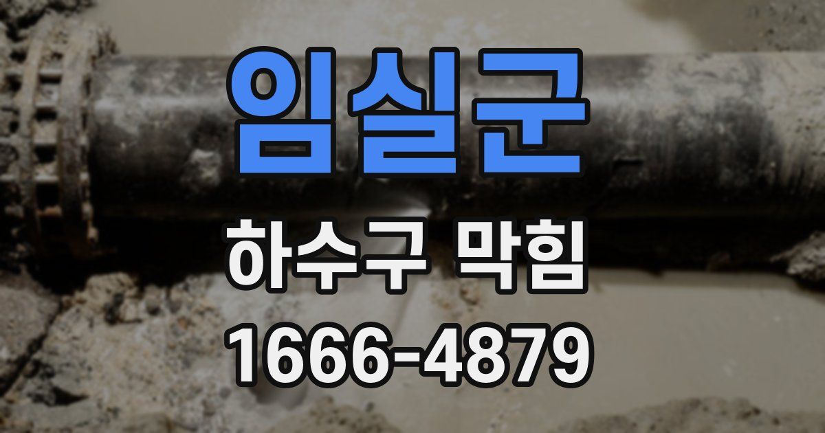 임실군 하수구 막힘