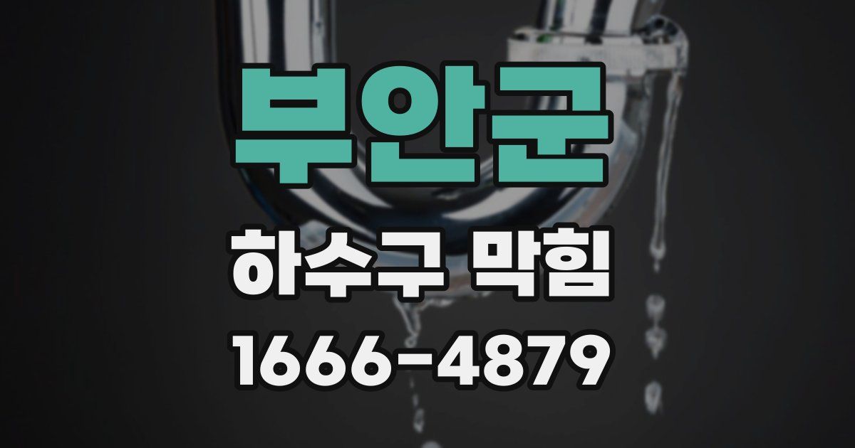 부안군 하수구 막힘