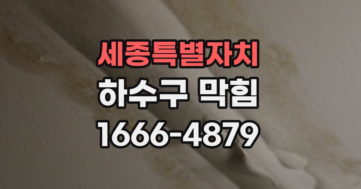 세종특별자치 하수구 막힘