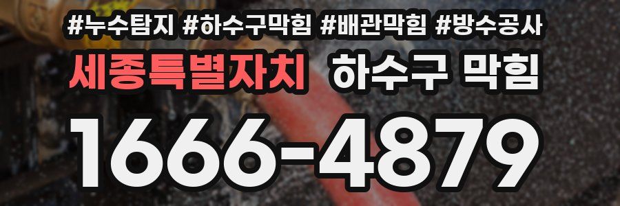 세종특별자치 하수구 막힘