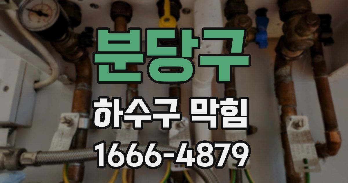 분당구 하수구 막힘