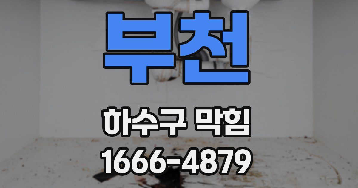부천 하수구 막힘