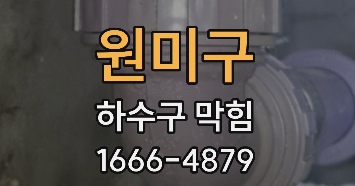 원미구 하수구 막힘