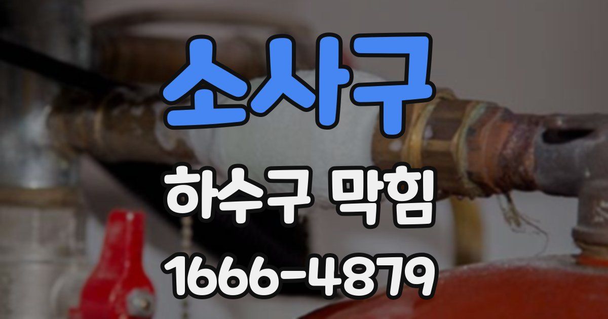 소사구 하수구 막힘