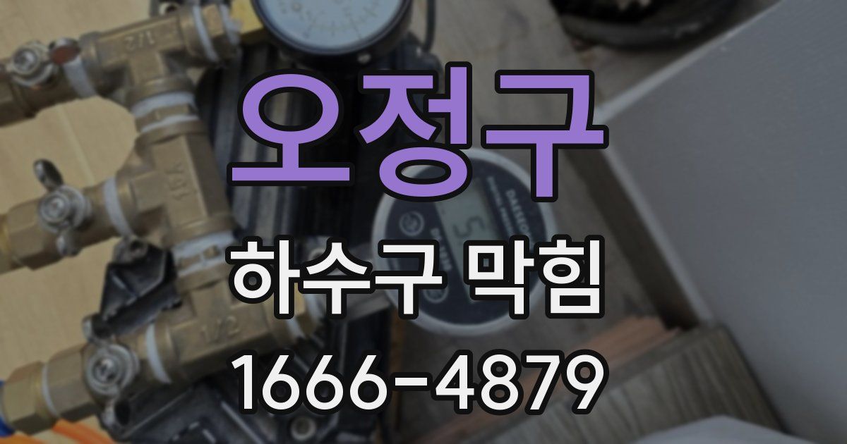 오정구 하수구 막힘