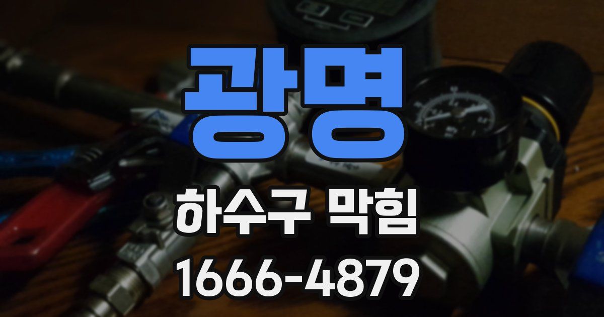 광명 하수구 막힘