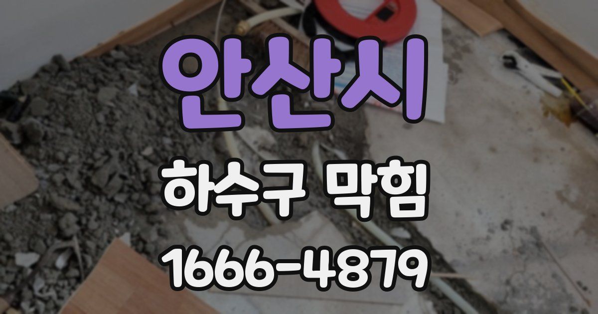 안산시 하수구 막힘