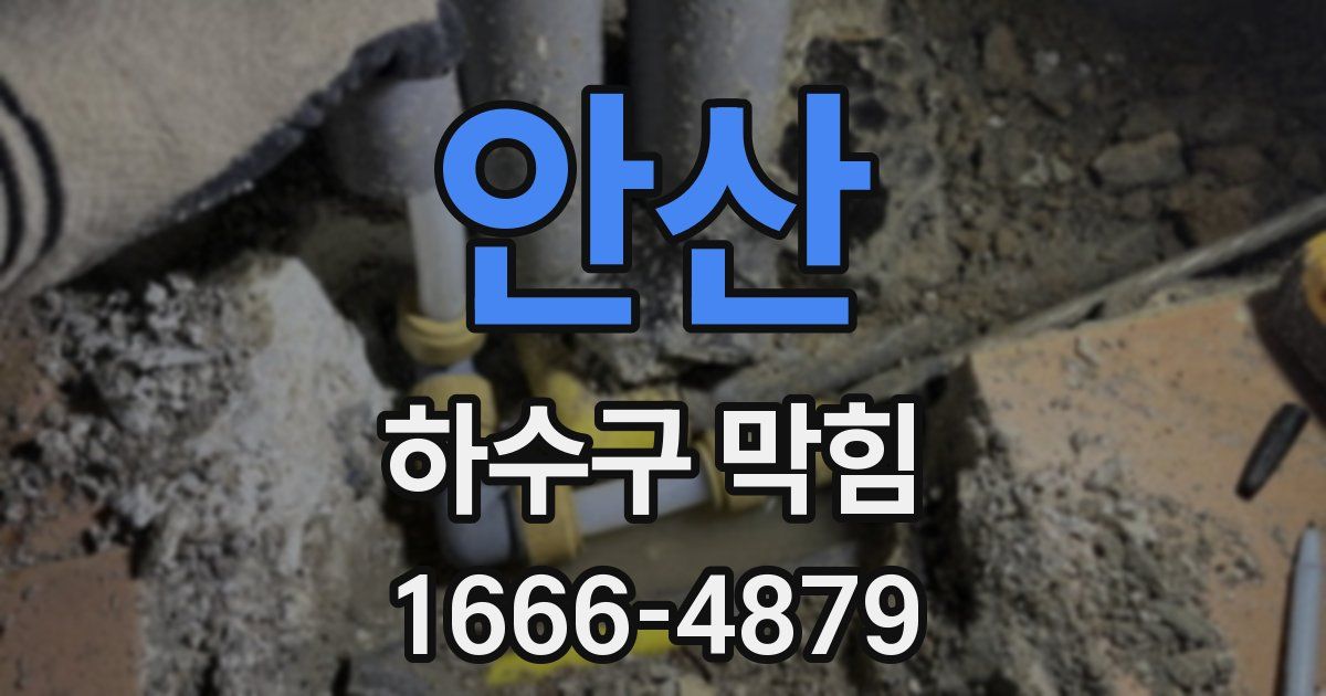 안산 하수구 막힘