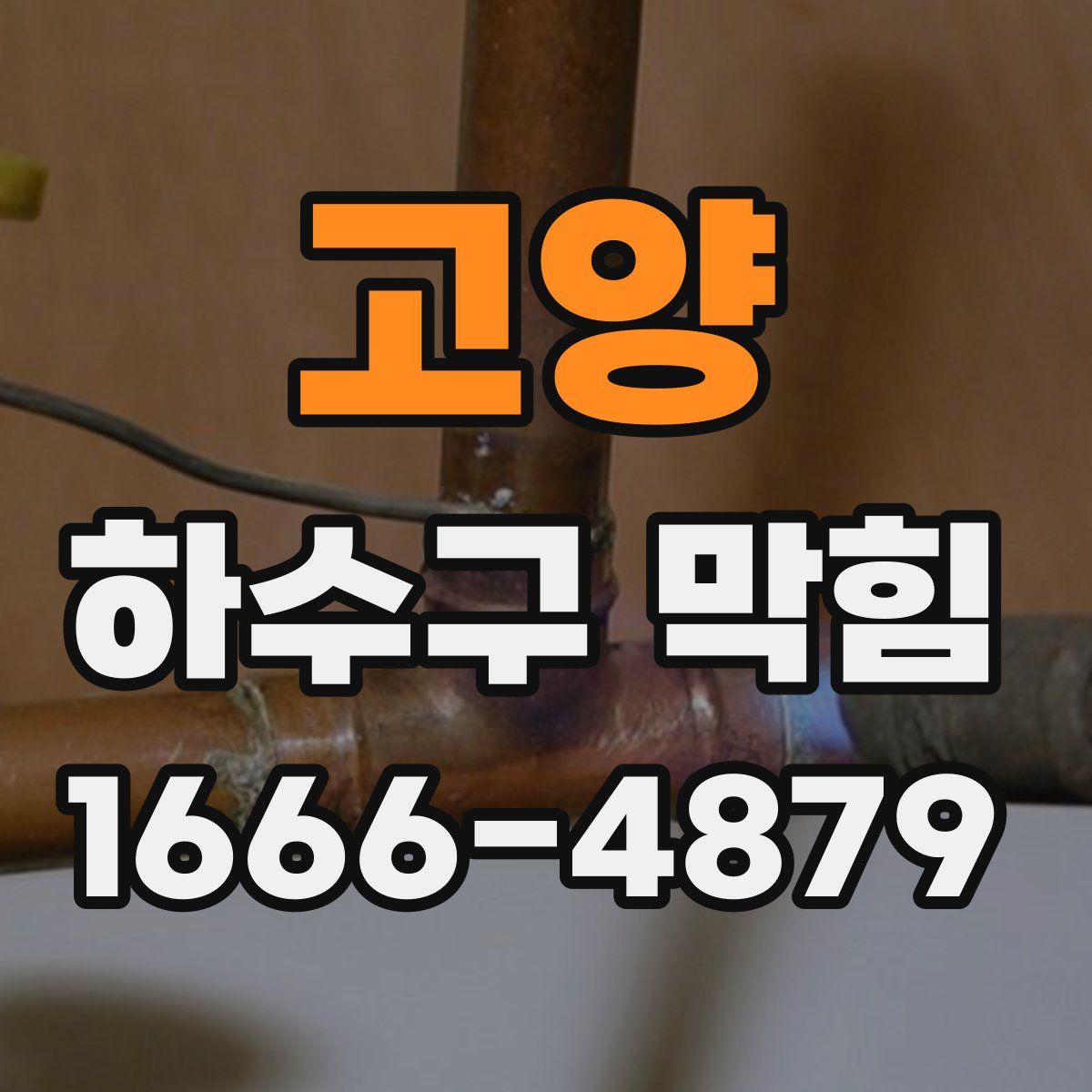 고양 하수구 막힘
