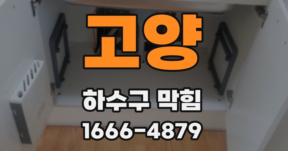 고양 하수구 막힘