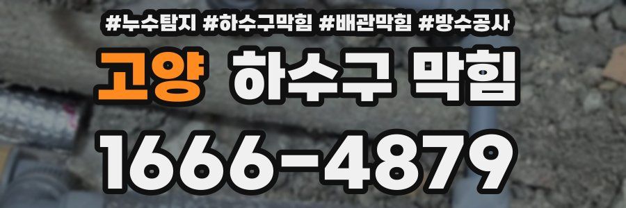 고양 하수구 막힘