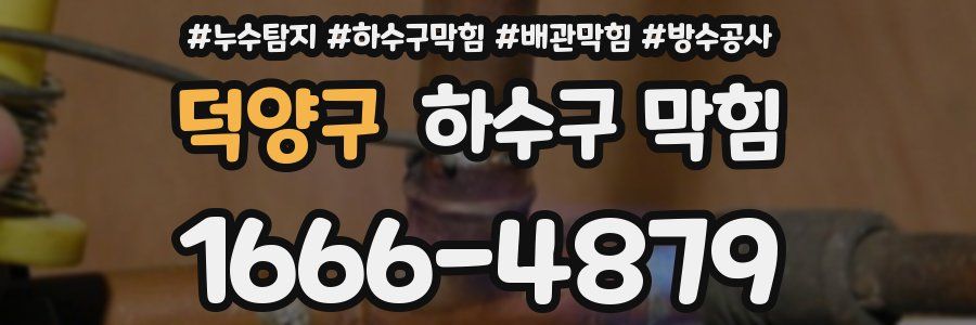 덕양구 하수구 막힘