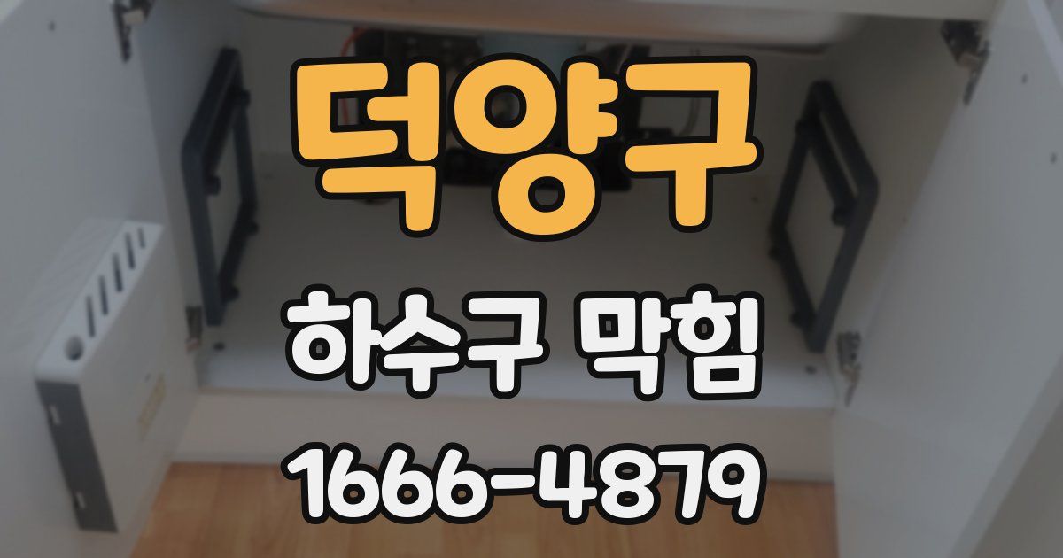 덕양구 하수구 막힘
