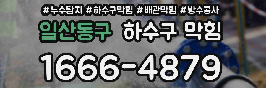 일산동구 하수구 막힘