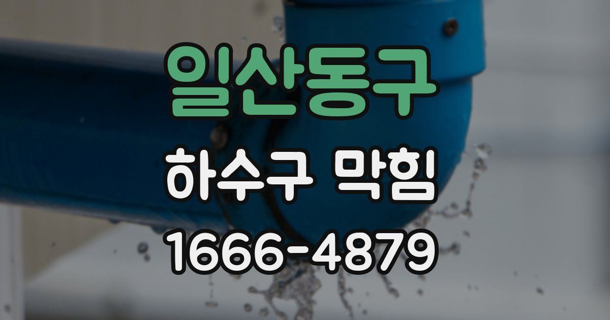 일산동구 하수구 막힘