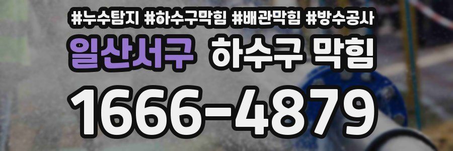 일산서구 하수구 막힘