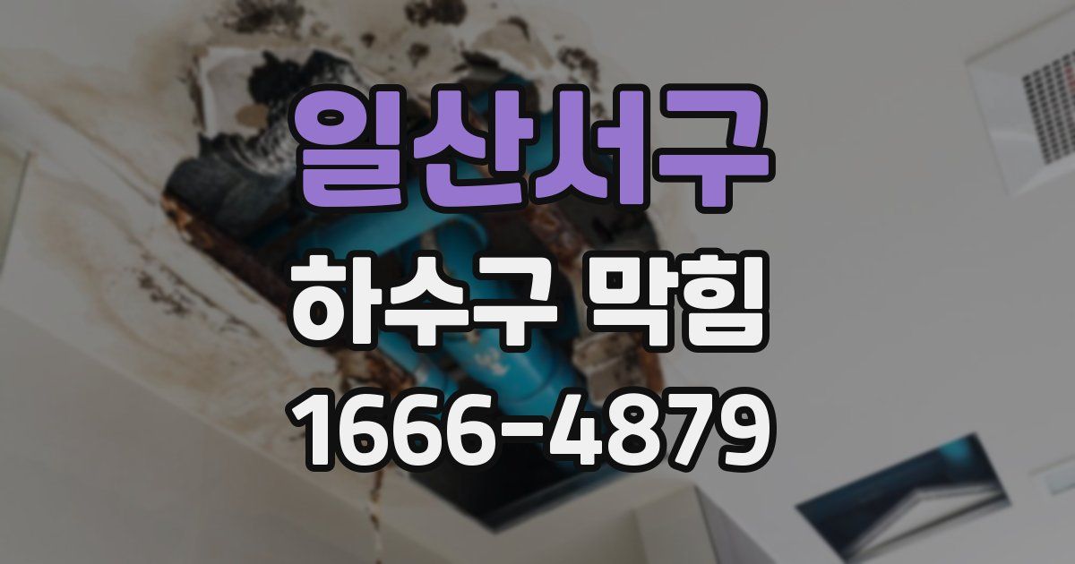 일산서구 하수구 막힘