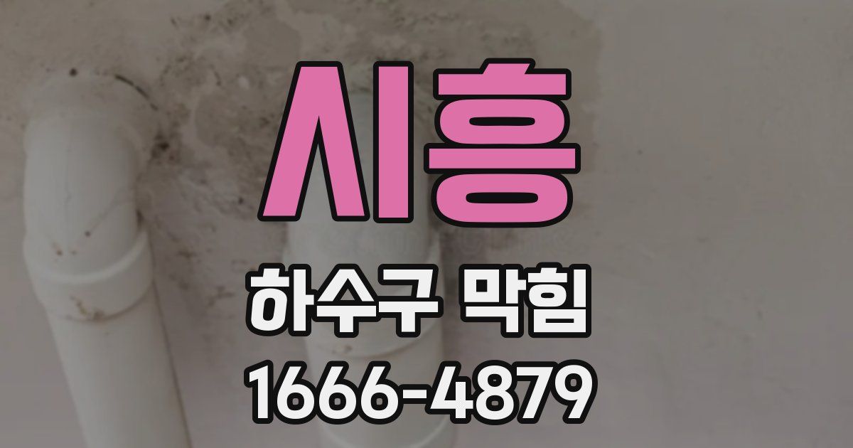 시흥 하수구 막힘