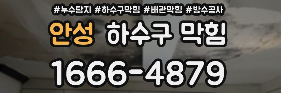 안성 하수구 막힘