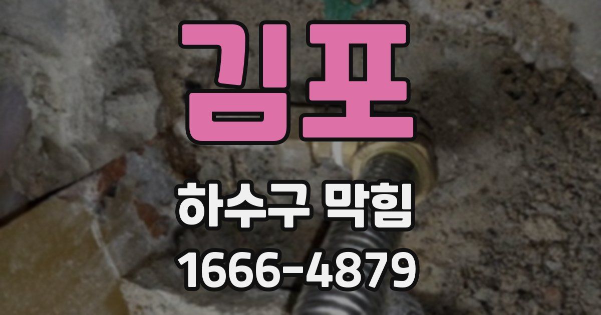 김포 하수구 막힘