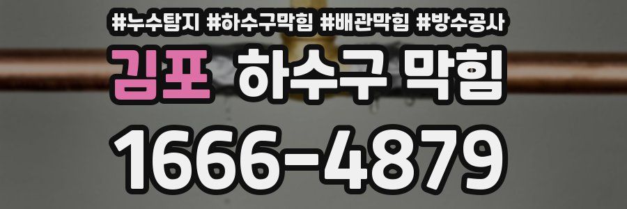 김포 하수구 막힘
