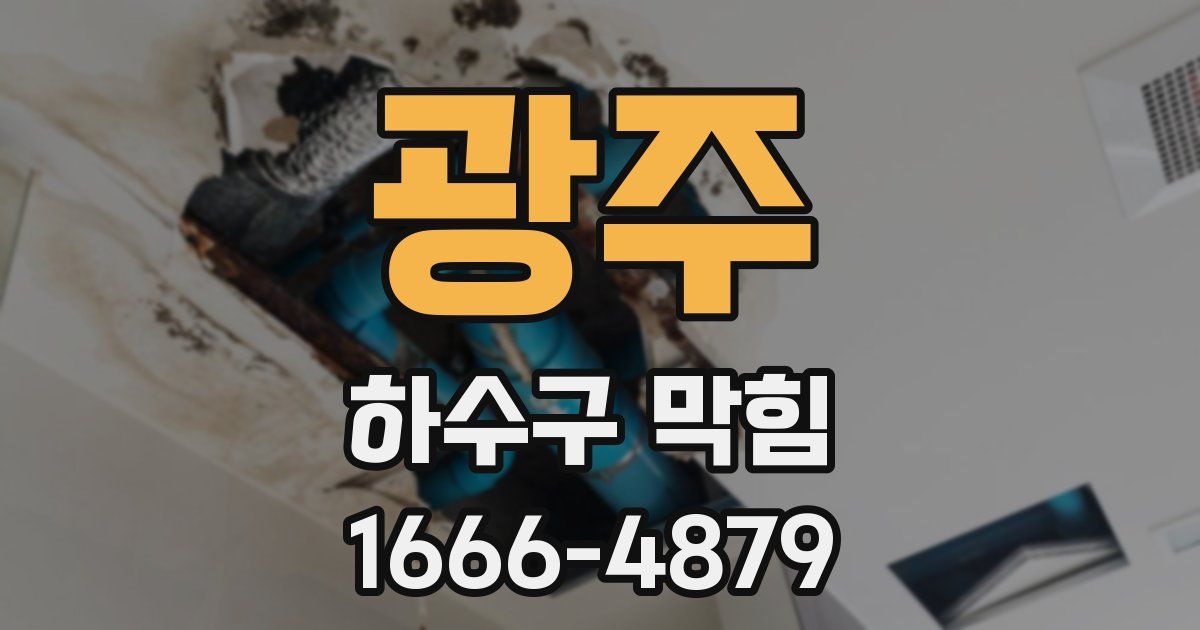 광주 하수구 막힘