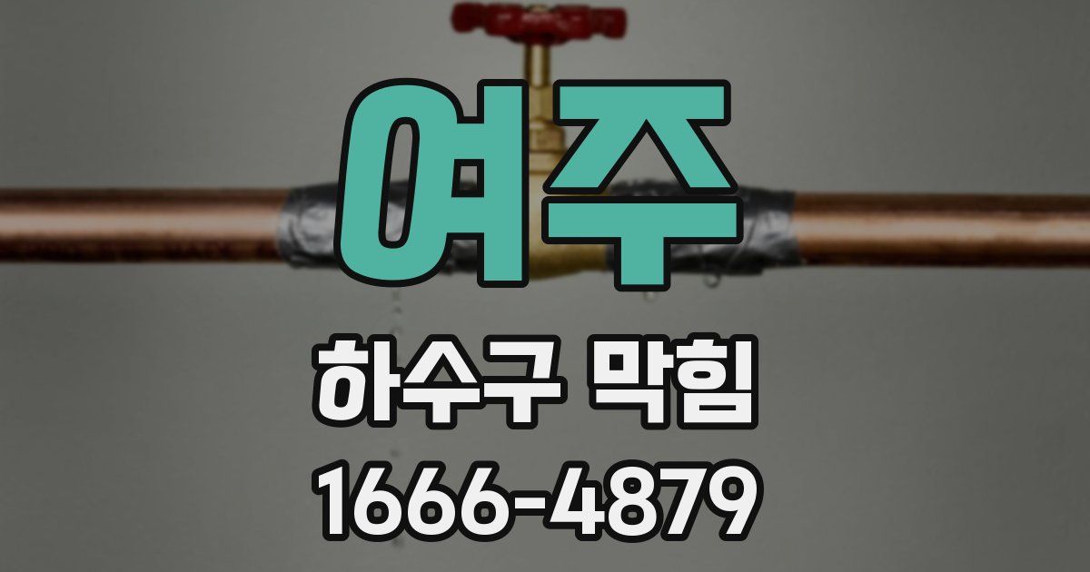 여주 하수구 막힘